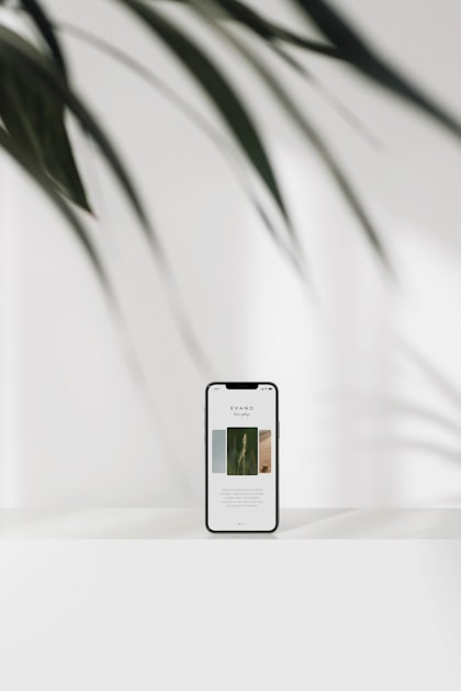 The Role of Life Coaching in Wellness
